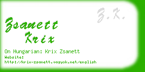 zsanett krix business card